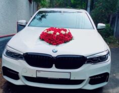 BMW 530 Trivandrum