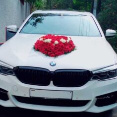 BMW 530 Trivandrum